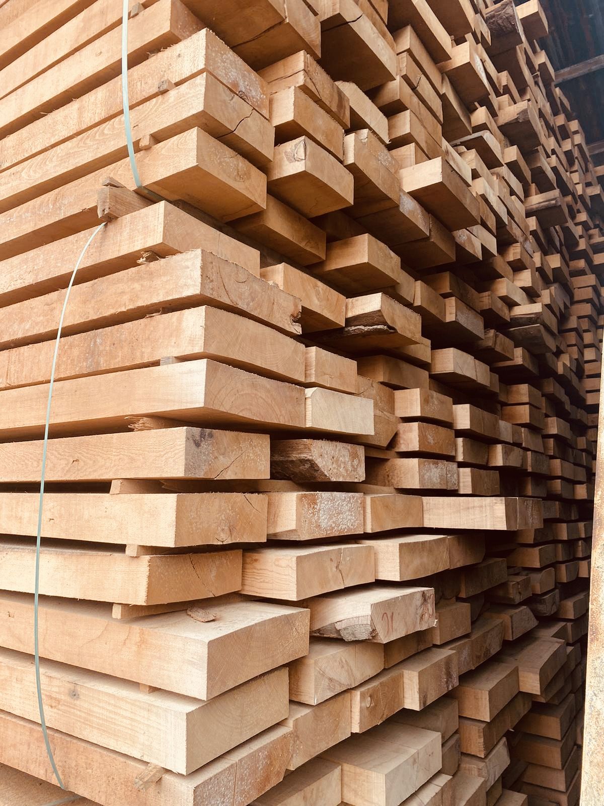 Processed timber boards stacked for trade